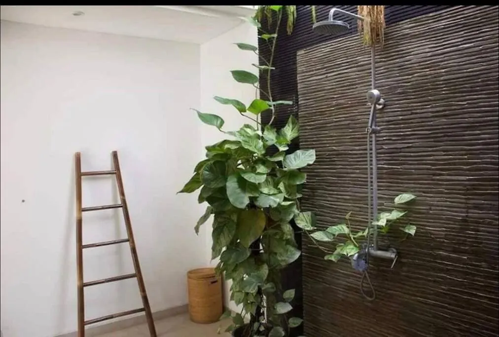 Umara Villa Bali X Villa Aydin Kerobokan Bali Seminyak